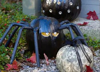 legacy asset from source