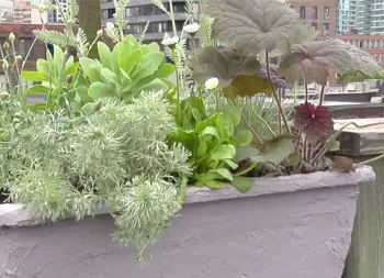 legacy asset from source