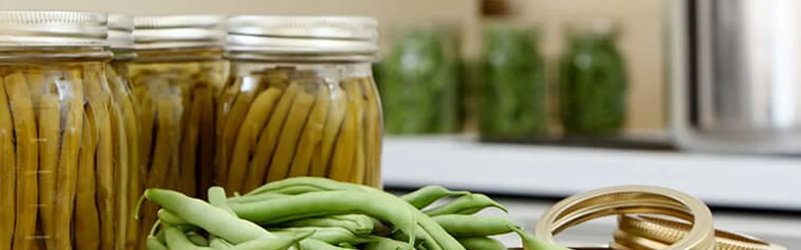 HH_Canning_Banner image