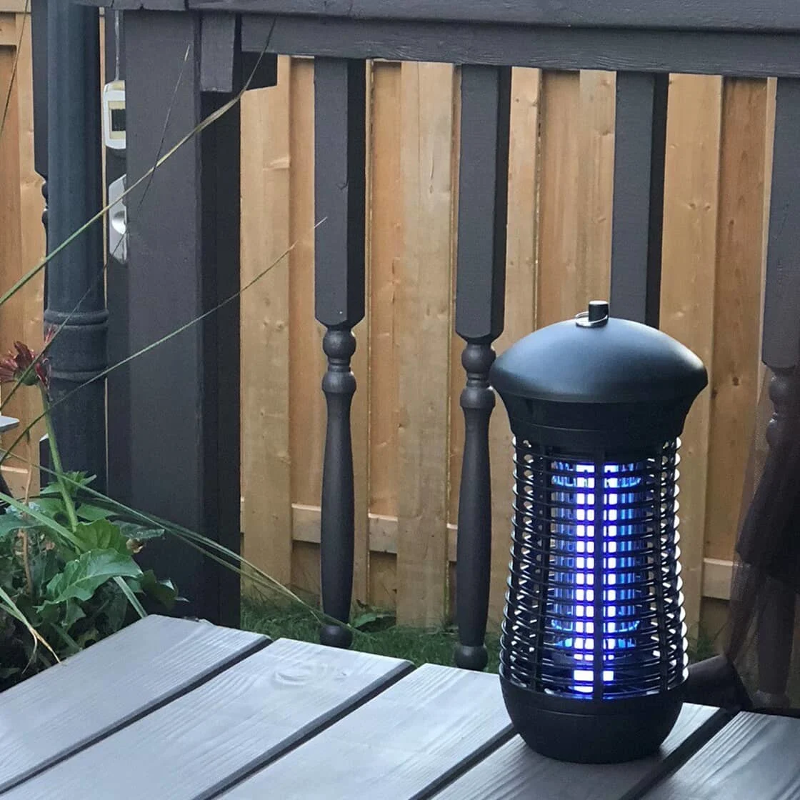 Here’s How to Get Rid of Mosquitoes in Your Home & Yard Home Hardware