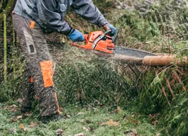 legacy asset from source