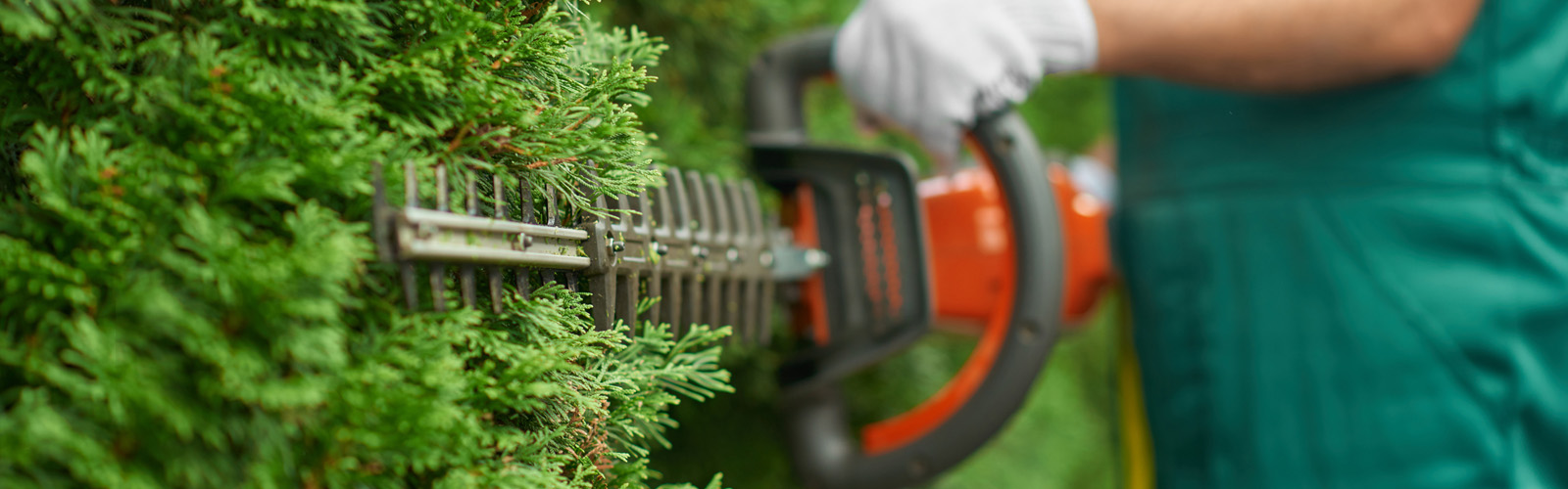 Powerful deals hedge cutter