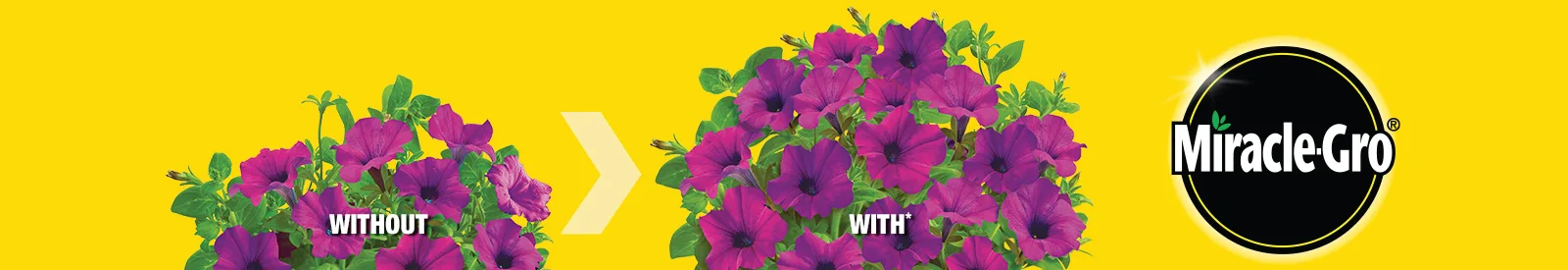 Miracle-Gro - Brand Page - Header Banner