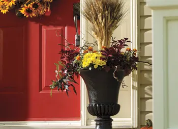 legacy asset from source