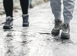 legacy asset from source