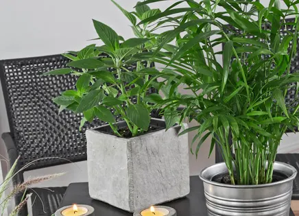 legacy asset from source