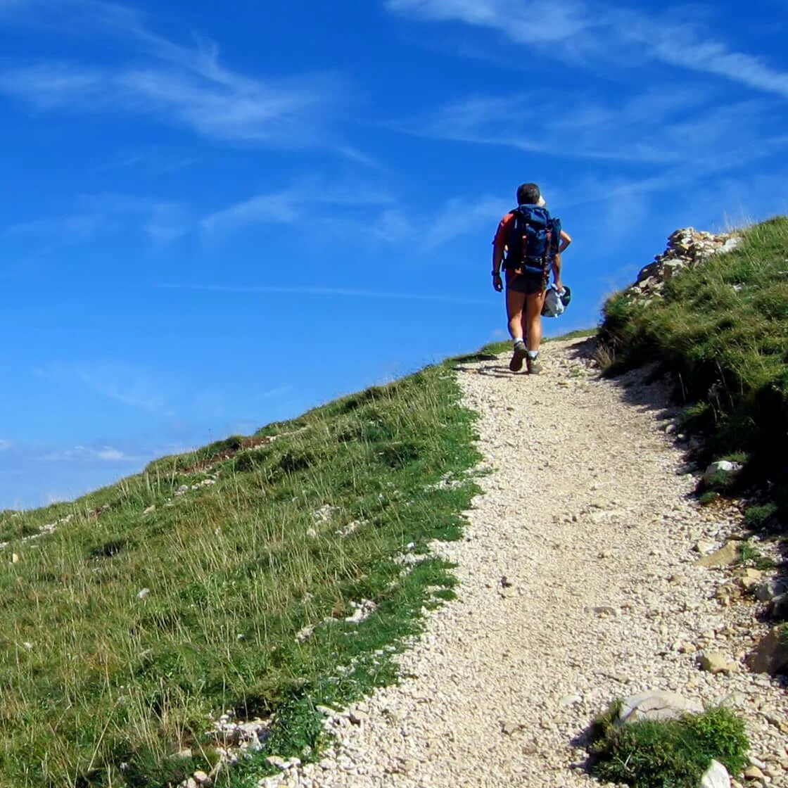 Hiker on a mountain path