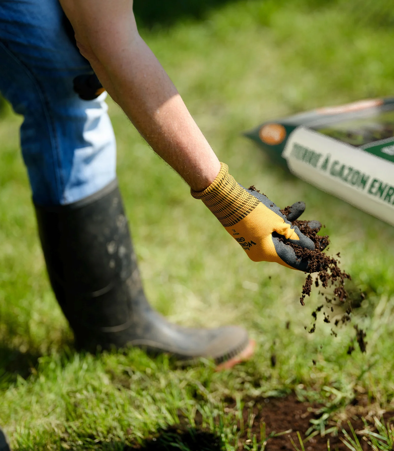 Lawn soils