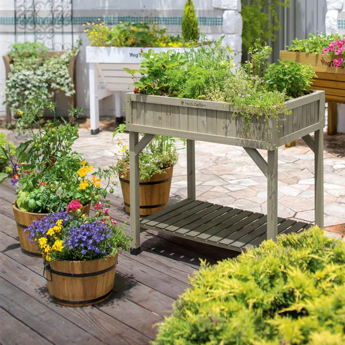 A garden