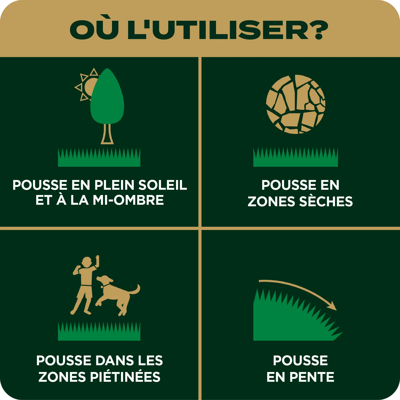 LAWN SEED EZ SEED TILE 6 FRENCH