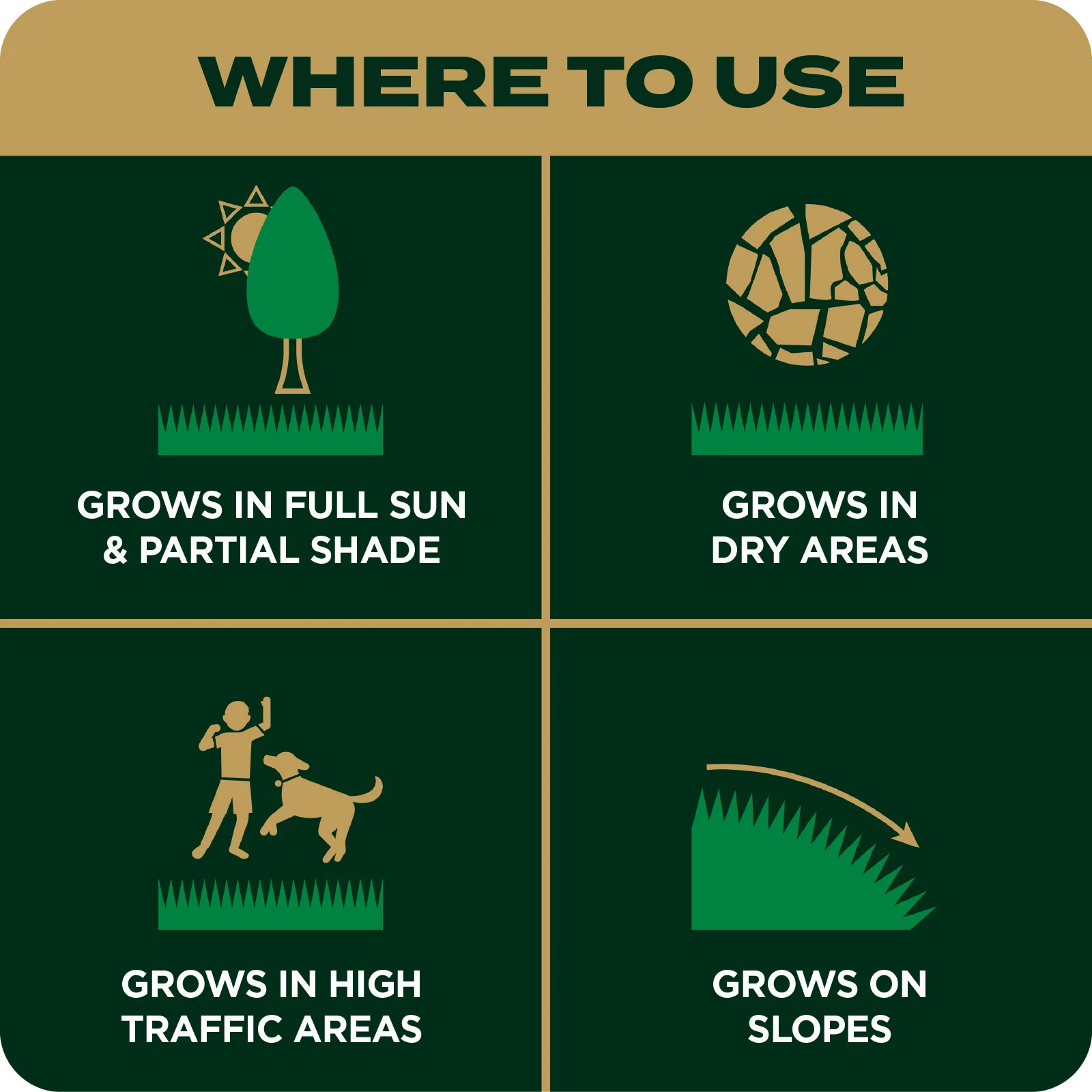 LAWN SEED EZ SEED TILE 6 ENGLISH