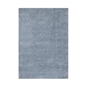 image of Blue Area Rugs