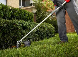 legacy asset from source