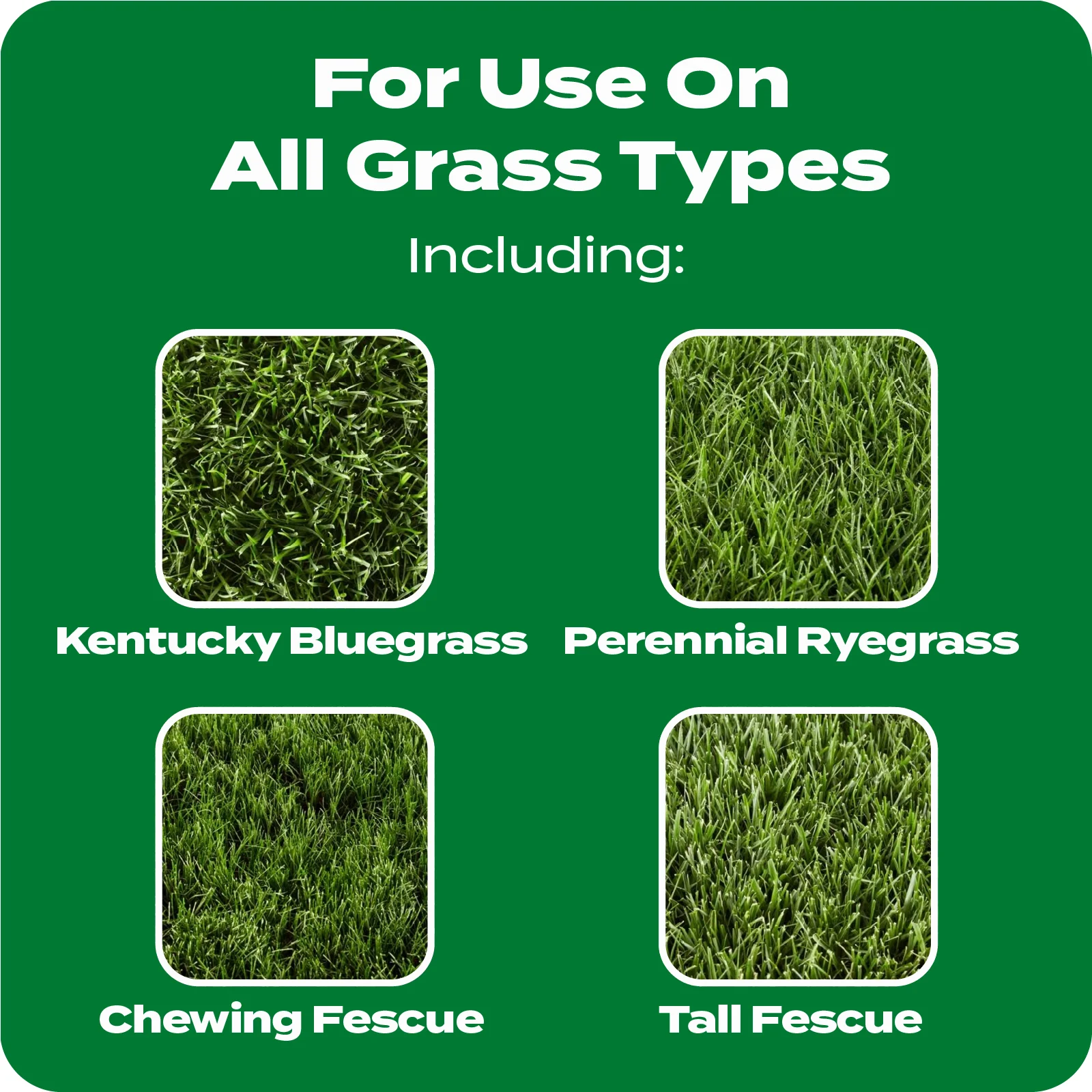 LAWN FERT TILE 5 ENGLISH