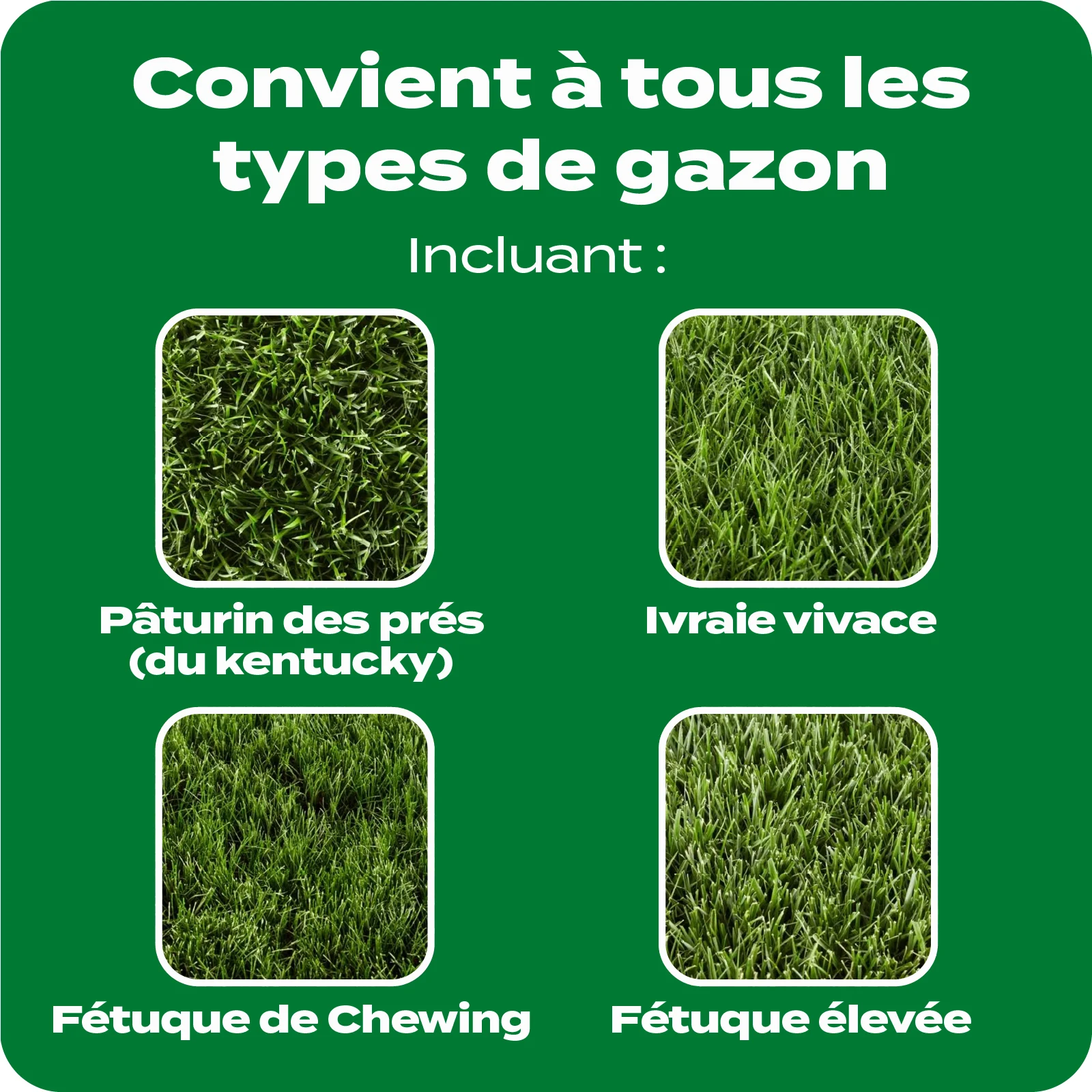 LAWN FERT TILE 5 FRENCH