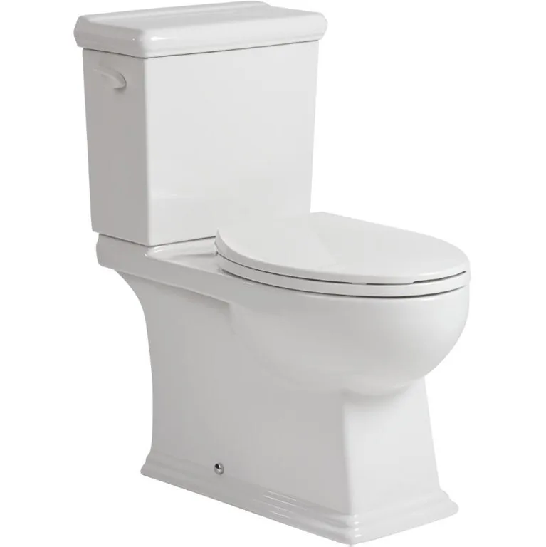 Toilet Buying Guide – What's Best For You?