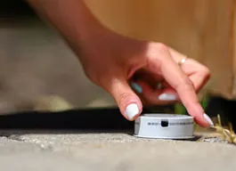 legacy asset from source