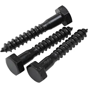 image of Lag Bolts
