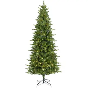 image of Extra Tall Trees