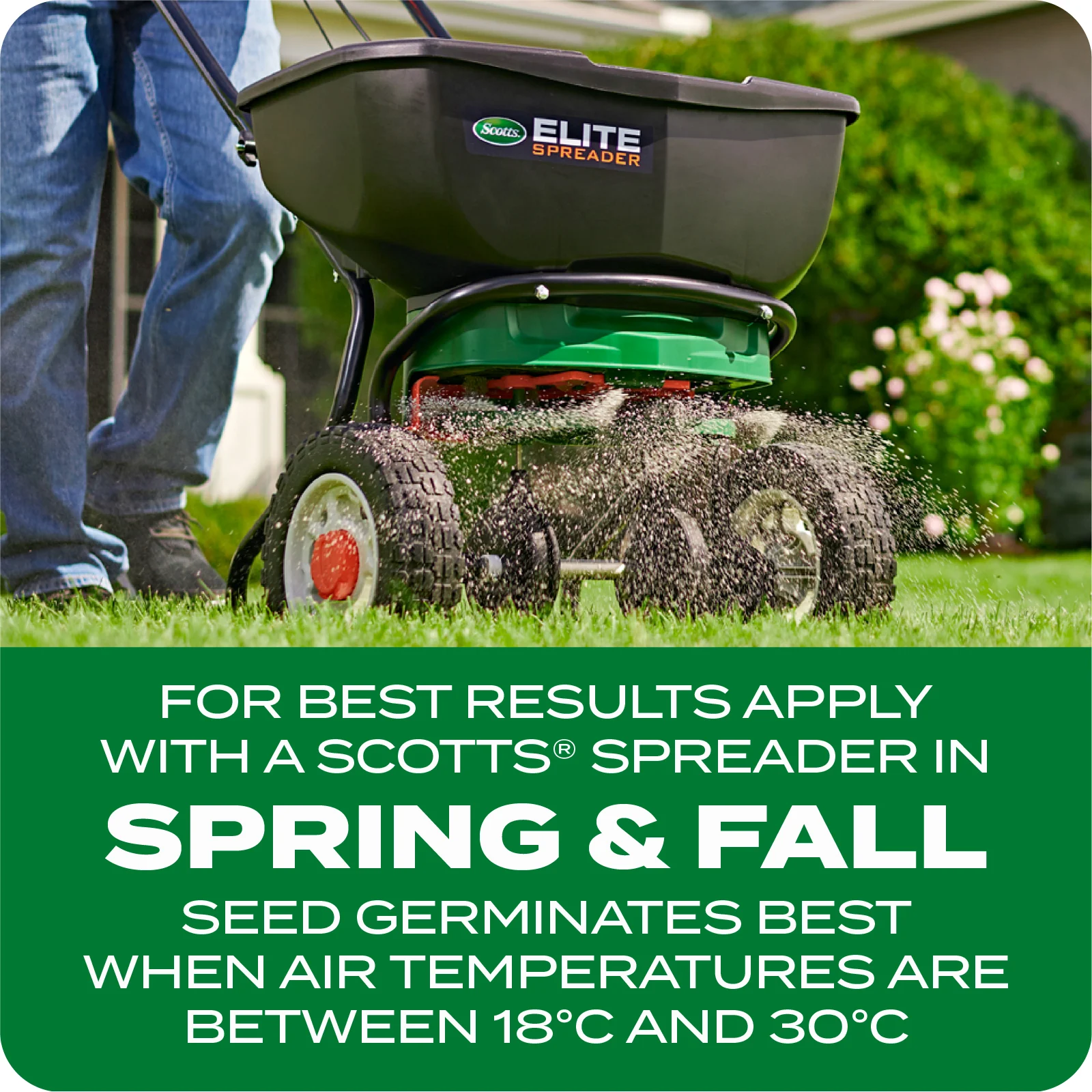 LAWN SEED Q+T TILE 4 ENGLISH