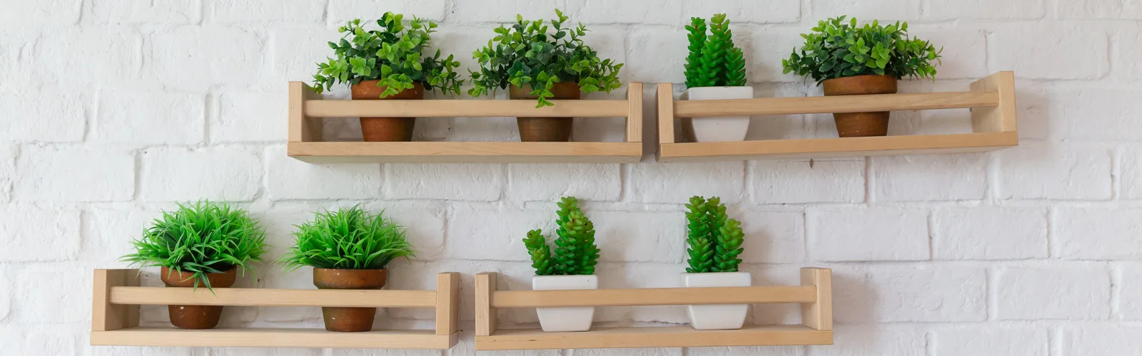 Mur végétal: Et si on utilise la plante pour décorer notre intérieur?