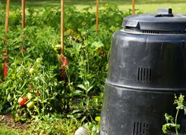 legacy asset from source