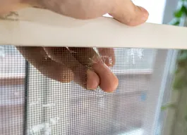 legacy asset from source