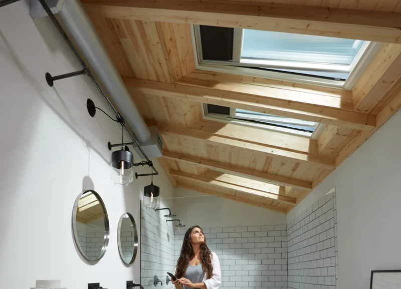 Building Materials - PRO How - Articles - Skylights Image