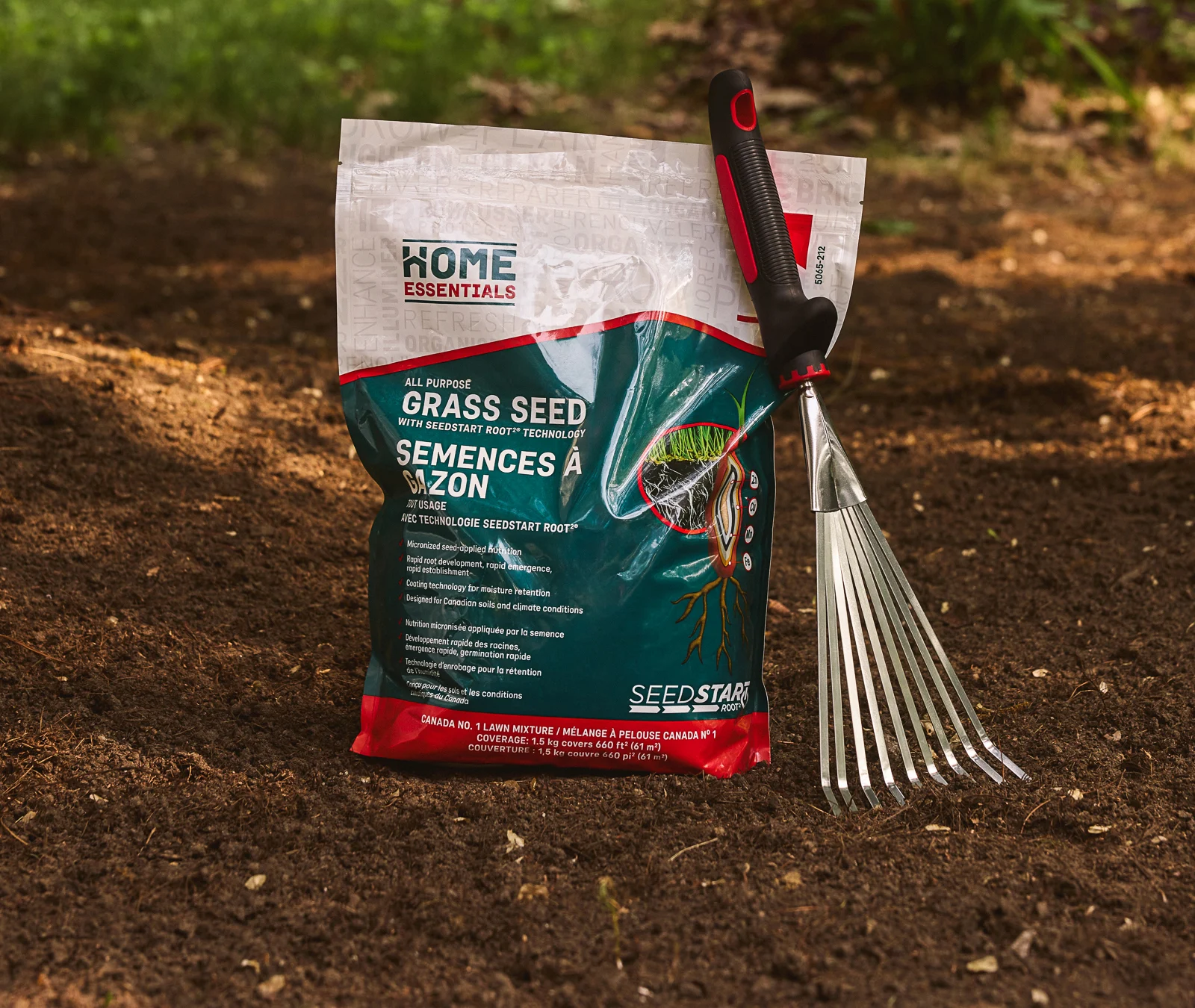 Grass Seed