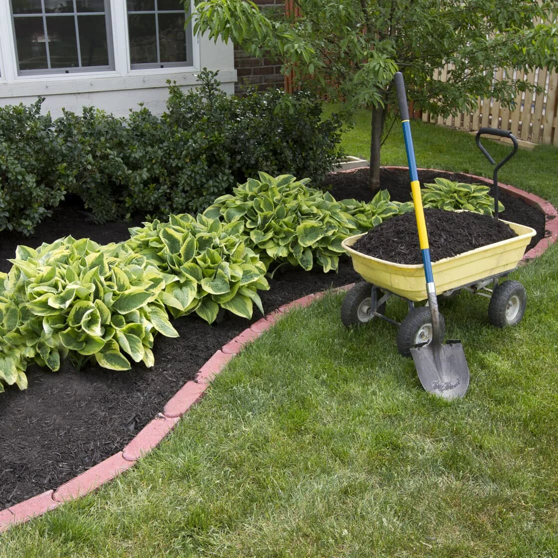 A garden bed filled with mulch