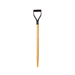 image of 