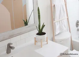 legacy asset from source