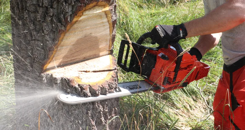 Chainsaws 1600x850