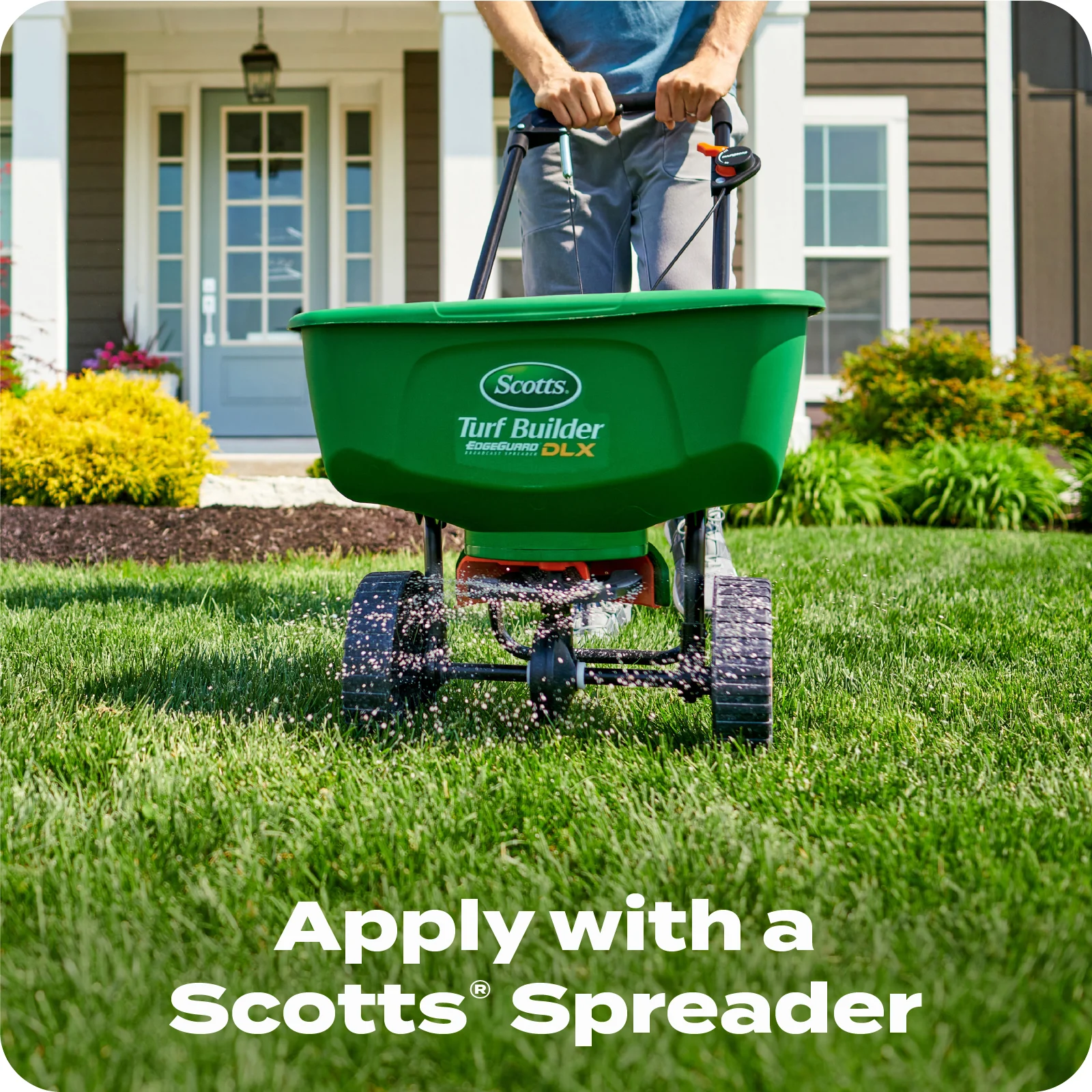 LAWN FERT TILE 6 ENGLISH