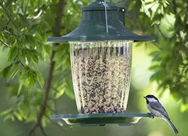 legacy asset from source