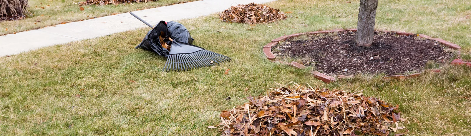 cleaning up their garden 1600x464