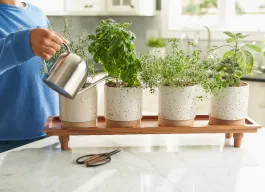 legacy asset from source