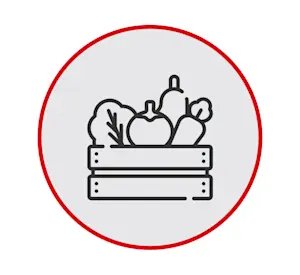 image of Basket of vegetables icon