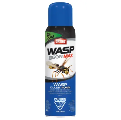 Ortho wasp spray 