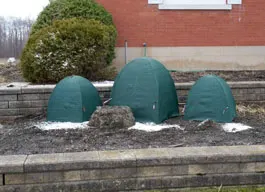 legacy asset from source