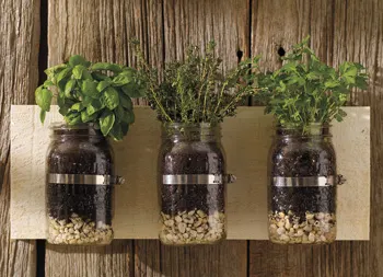 legacy asset from source