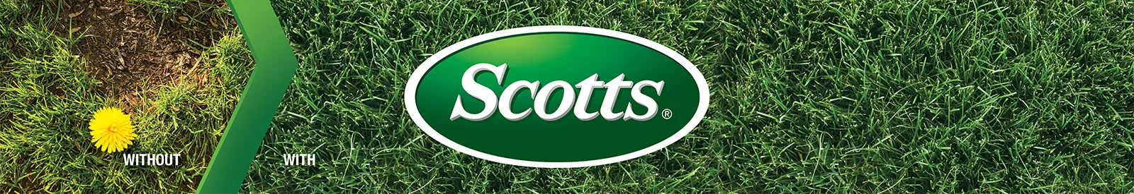 Scotts Brand Page Header Image