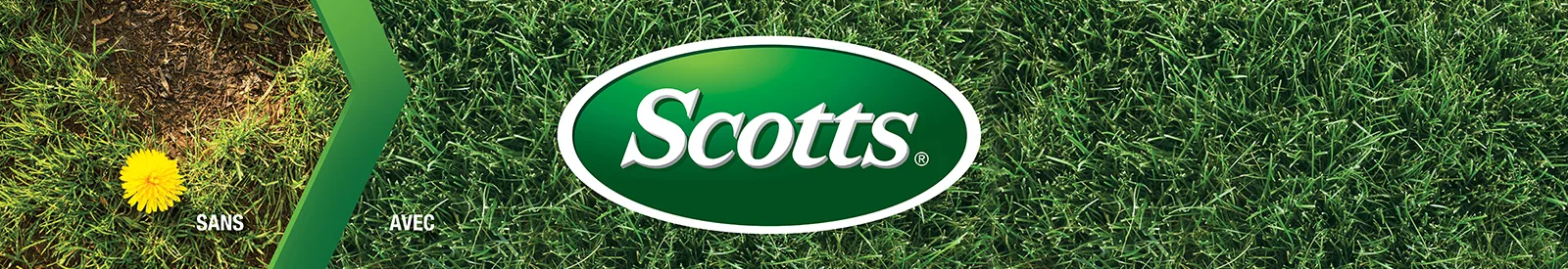 Scotts Brand Page Header Image
