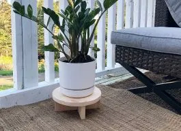 legacy asset from source