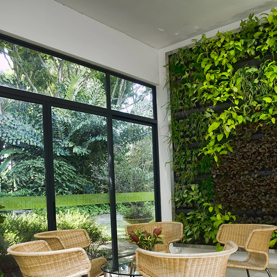 Here's How to Create a Living Plant Wall