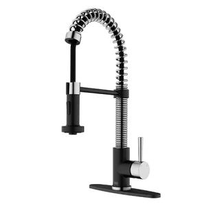 image of Kitchen Faucets
