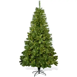 image of 