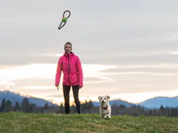 legacy asset from source