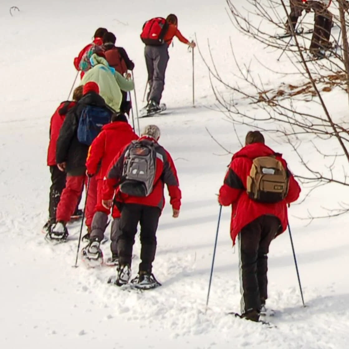 People snowshoeing