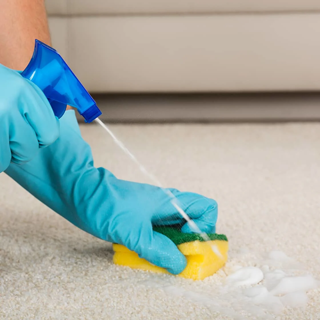 scrubbing carpet